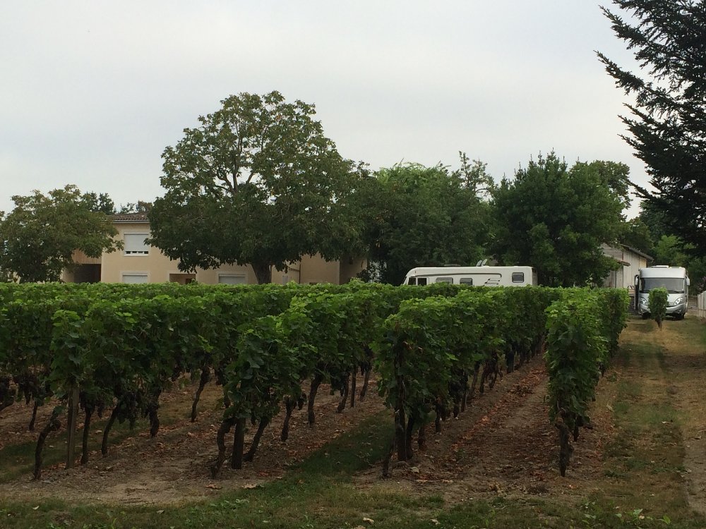 Aire camping-car  Lalande-de-Pomerol (33500) - Photo 2